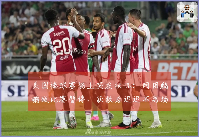 美国棒球赛场上突发状况：网困鹈鹕致比赛暂停，获救后迟迟不离场