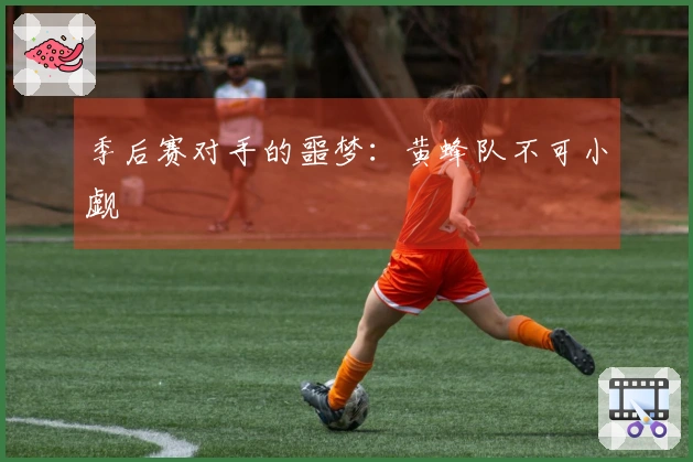 季后赛对手的噩梦：黄蜂队不可小觑