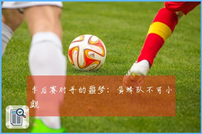 季后赛对手的噩梦:黄蜂队不可小觑